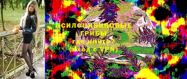 прущие грибы Навашино